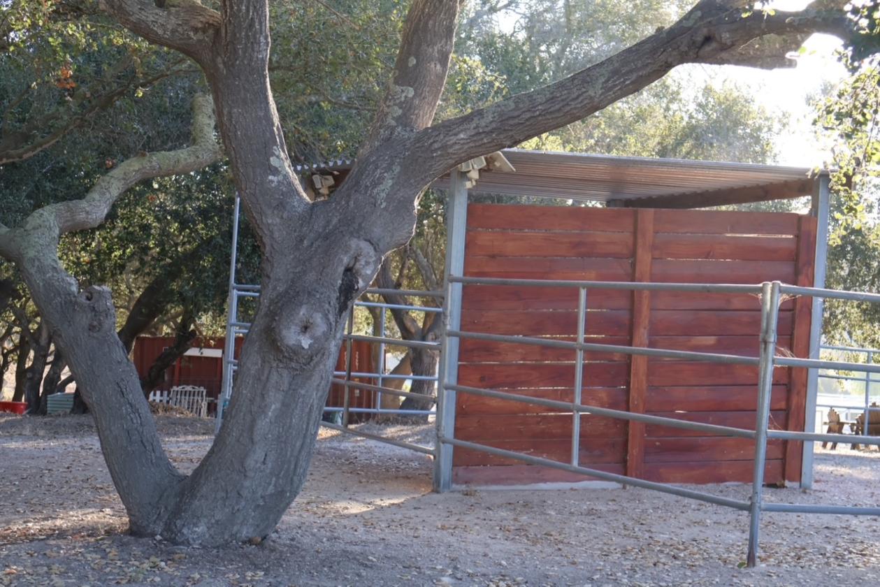 Hobby Horse Farm 15 minutes to the Beach - photo 26