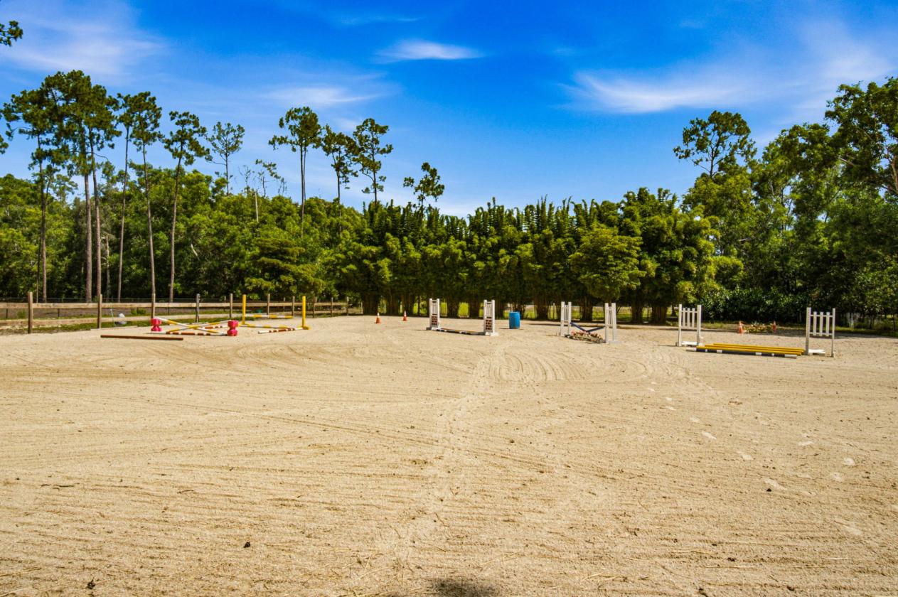 Redefined Luxury Hobby Farm Living - photo 12