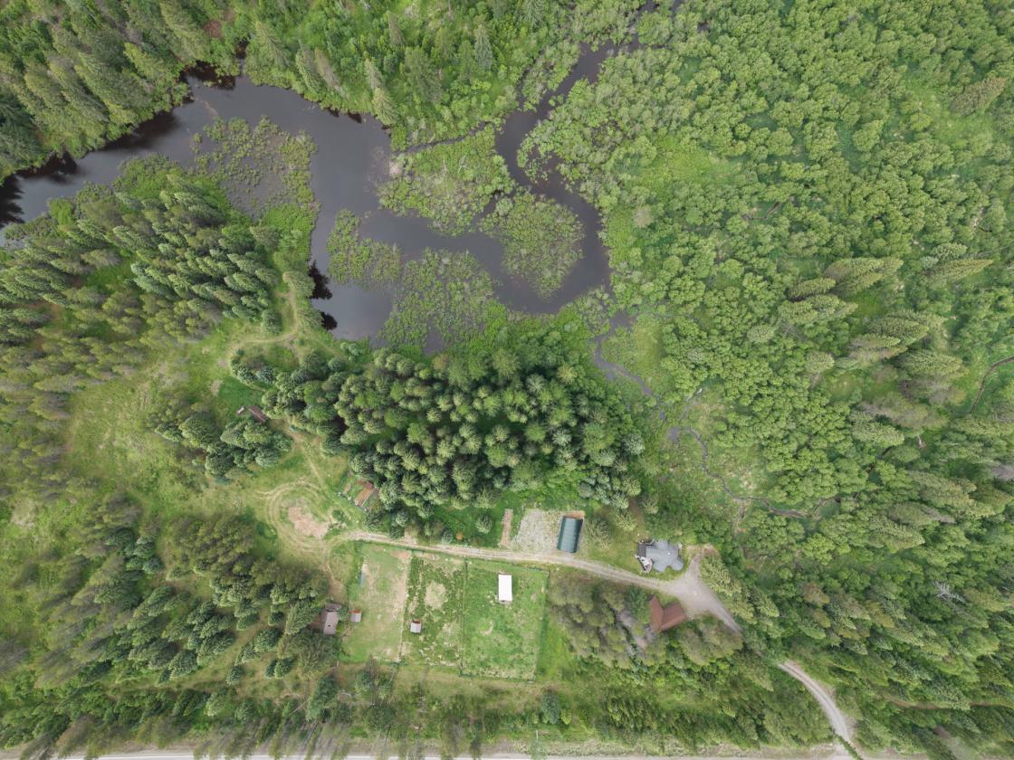 A Rare Opportunity to Own 155 acres - photo 6