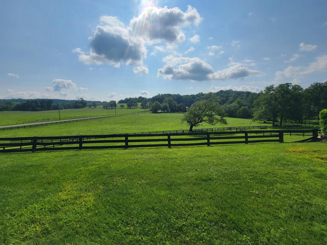 10-acre Horse Property with pool - photo 29