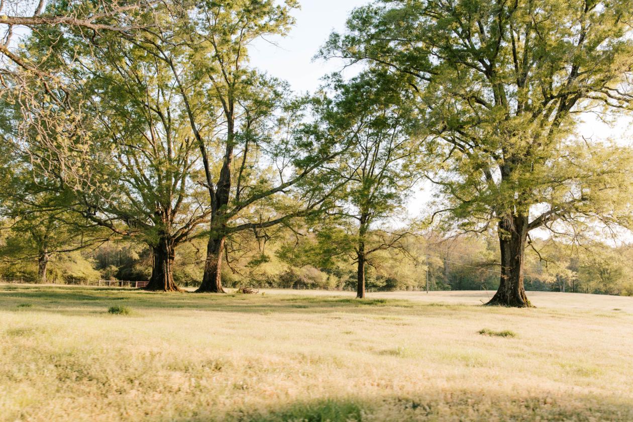 Legacy Retreat - photo 23