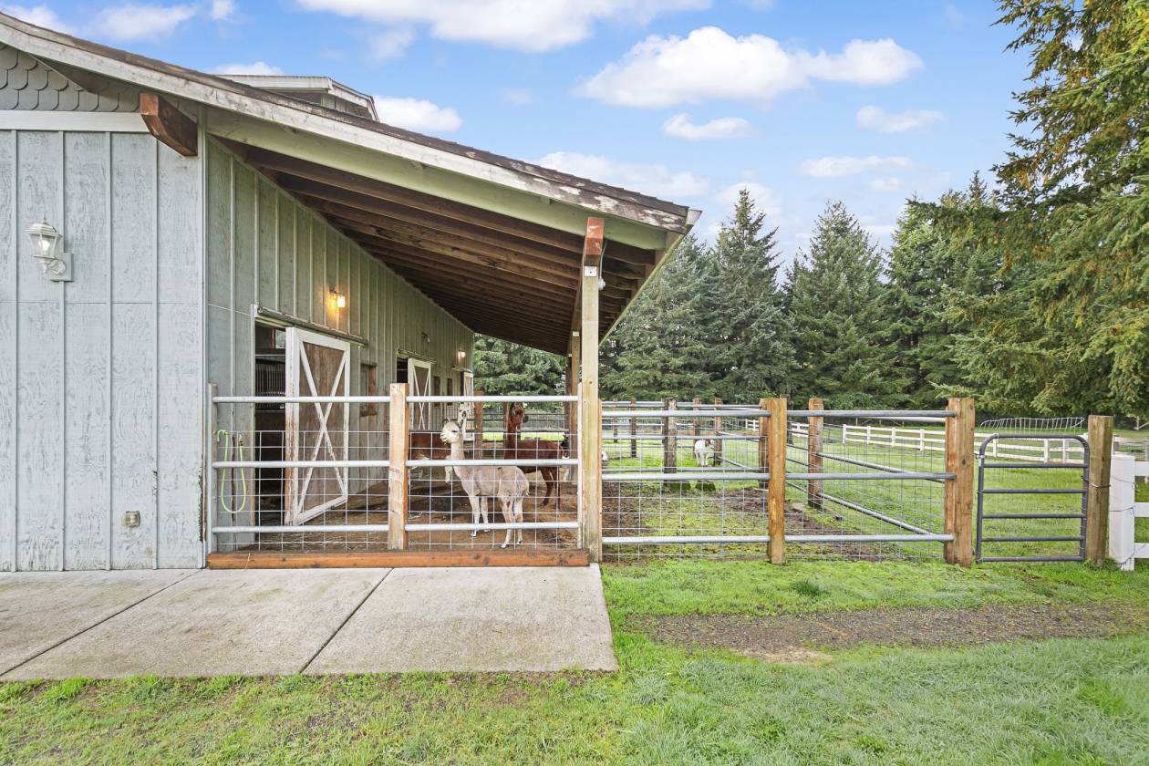 Horse Property in Town - Remolded Home - photo 4