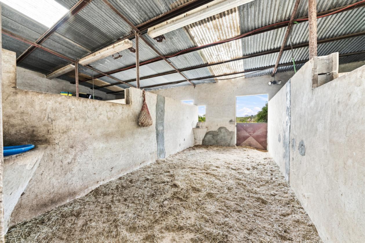 98± Acre Farm & Ranch North of San Antonio - photo 8