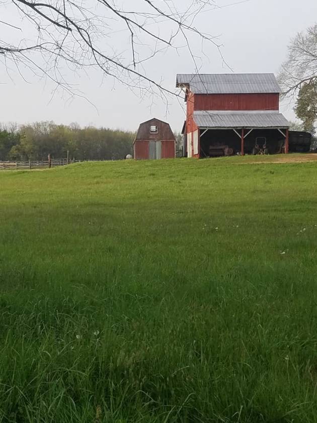 Stunning Tennessee Horse Farm Philadelphia, Loudon County, Tennessee