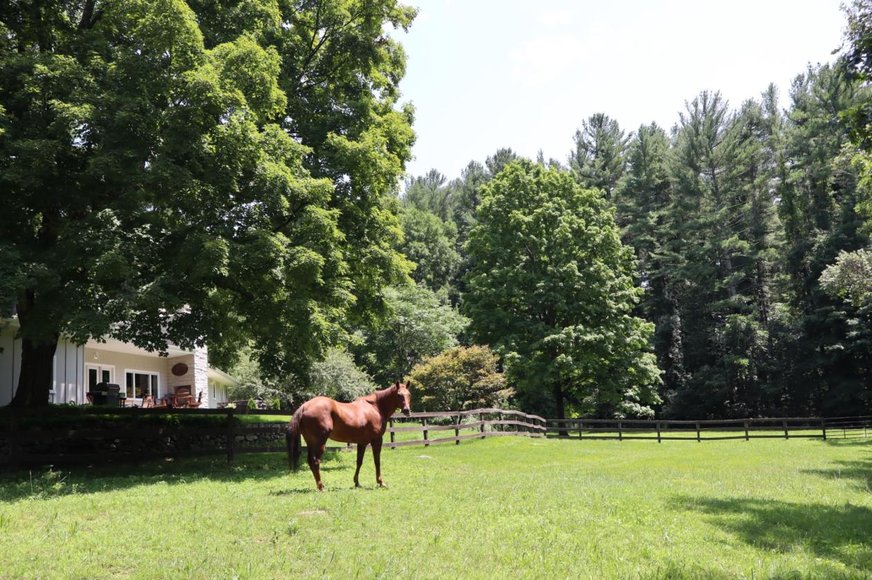 Horse property renovated home gorgeous river views - photo 2