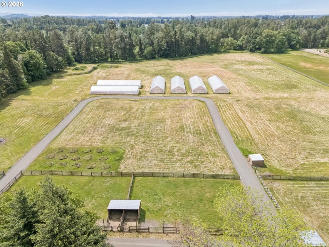 Exceptional Riverfront Equestrian & Agarian Estate - photo 30