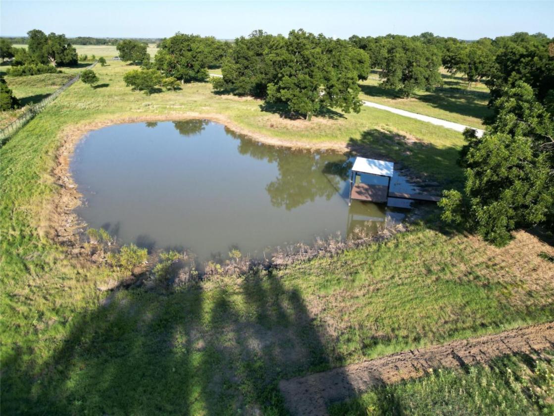 11 Acres of Pecan Trees - photo 21