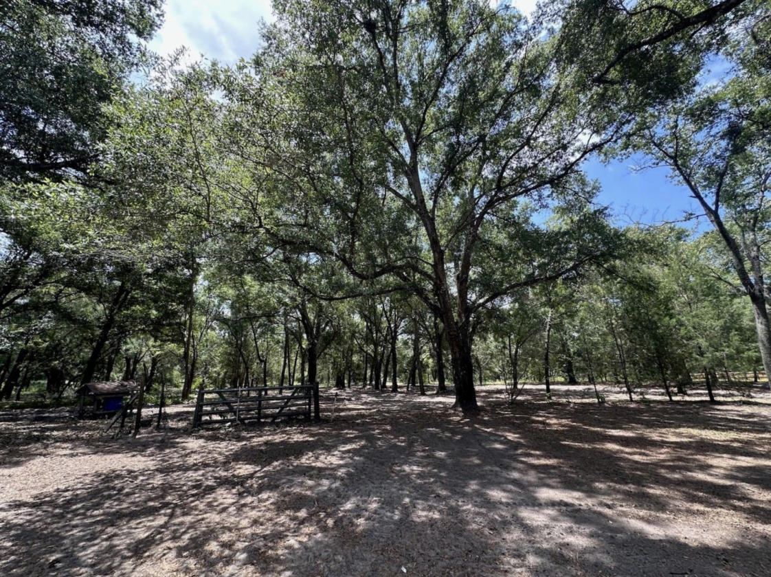 14.5 ACRES • NOW AR ZONED • HORSES/RVS • NO HOA! - photo 15