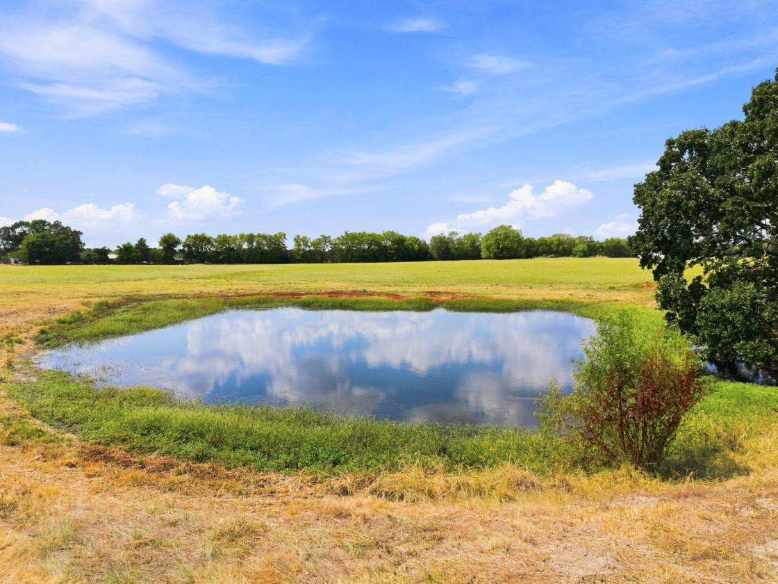 Wide-Open 18± Acres for Horses & Country Living - photo 13