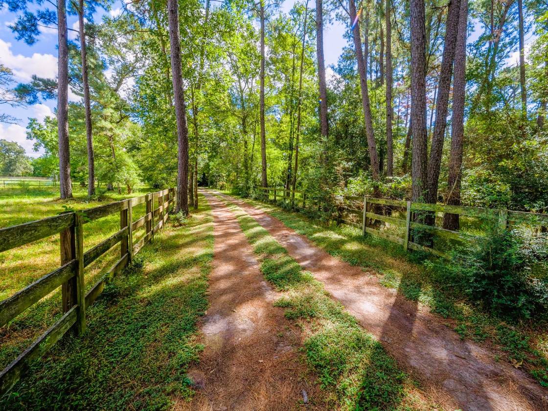 Horse Property for sale.