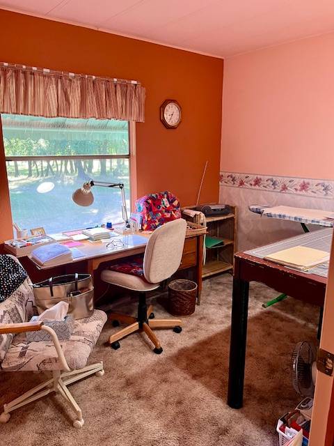 THE BEST DECISION WE EVER MADE! Quiet country life - photo 8