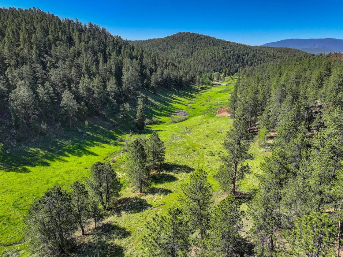 MAGICAL PINE & TINES RANCH - photo 30
