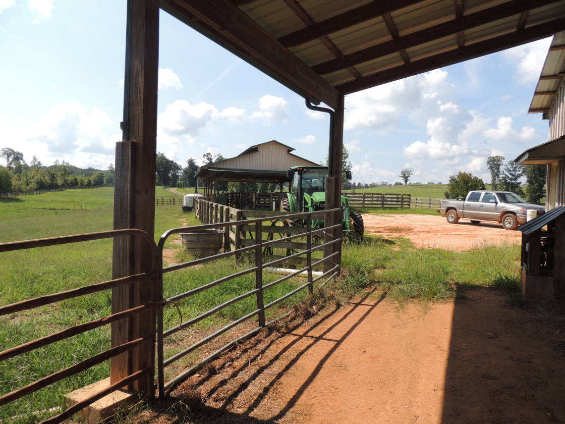 Horse Property For Sale Big Oak Farms 100 Acre Cattle & Horse Farm