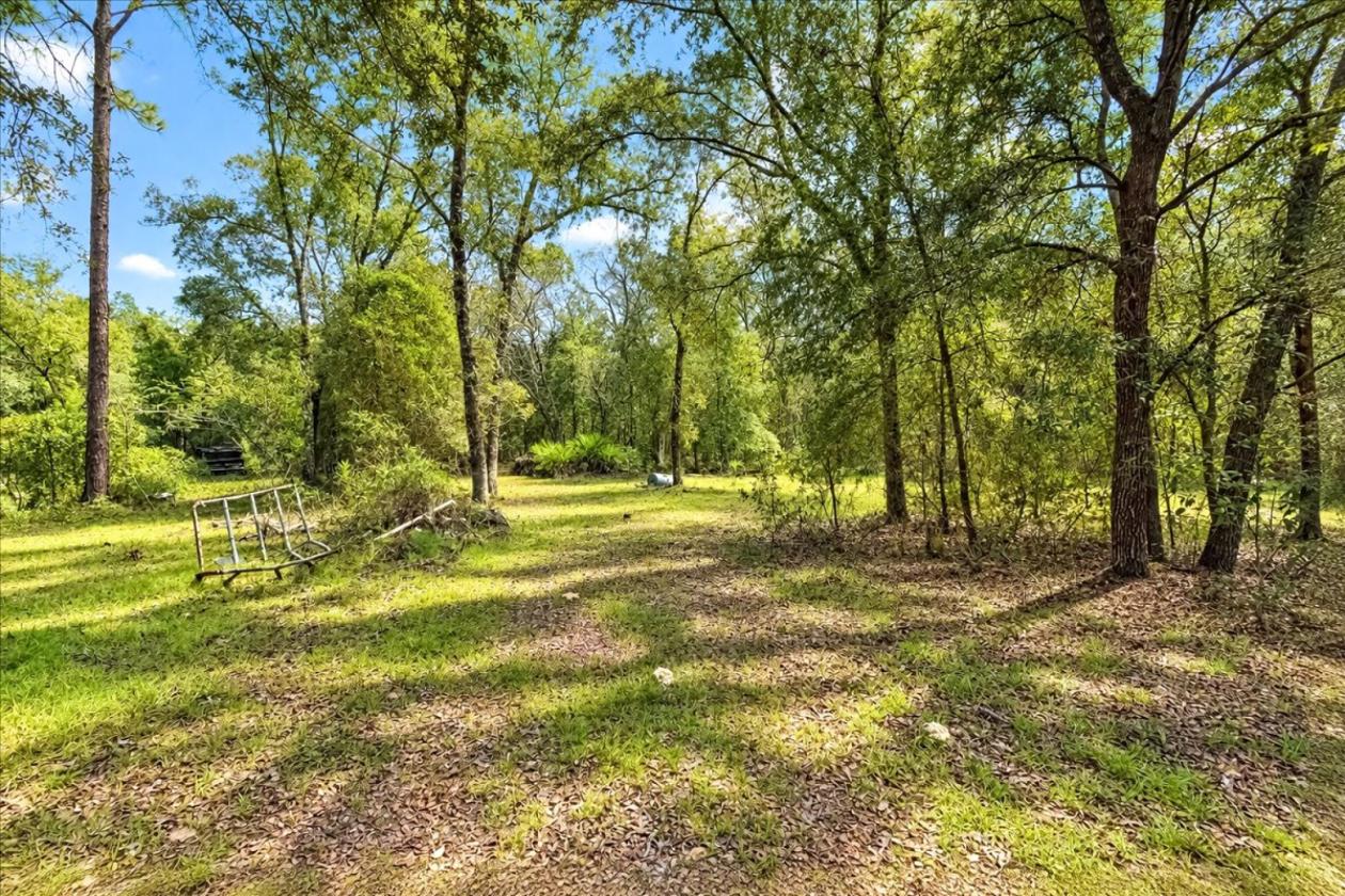 32 ACRES IN LEVY COUNTY NEAR WILLISTON - photo 7
