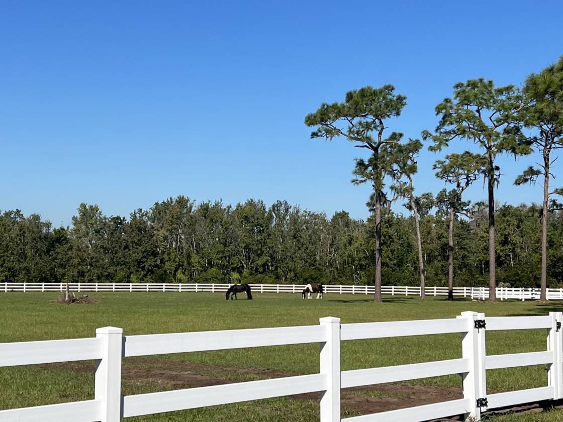 10-Acre Homesite in the Equestrian Community of Sarasota Ranch Club, Sarasota, Manatee County, Florida