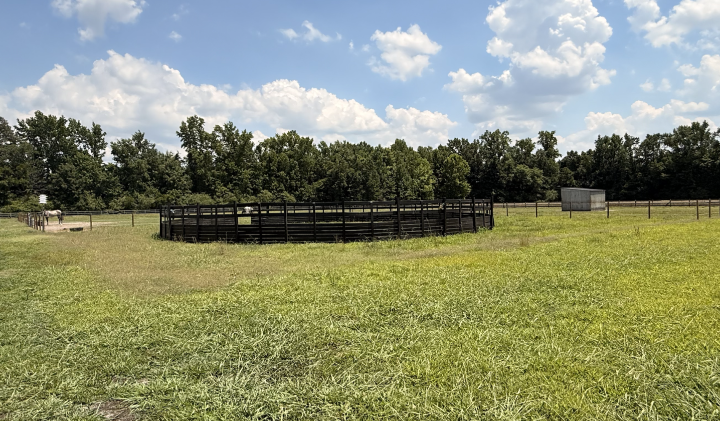 47 Acre Horse Property on Beautiful Setting - photo 10
