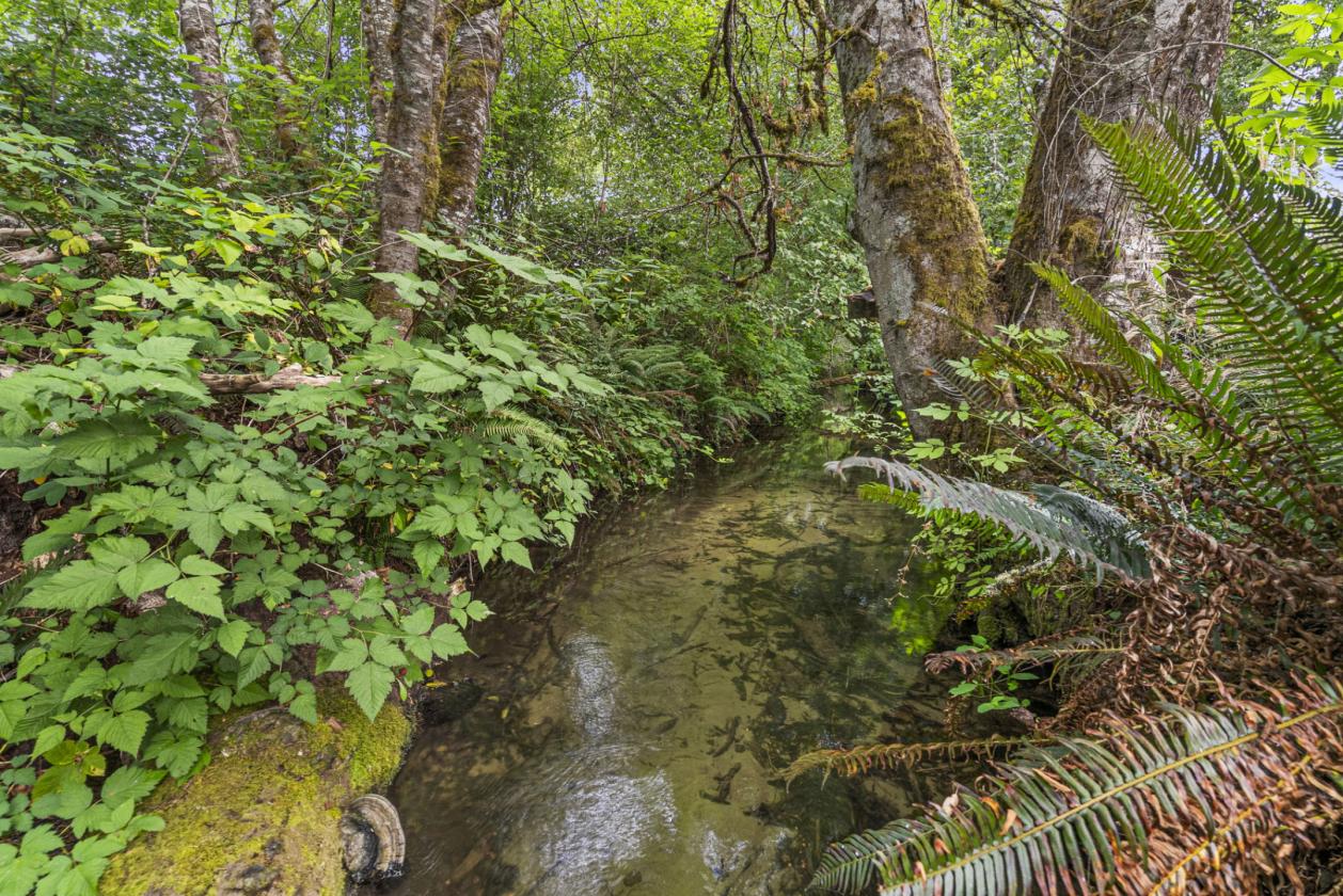 Keystone Ranch in the Evergreen Valley - photo 23