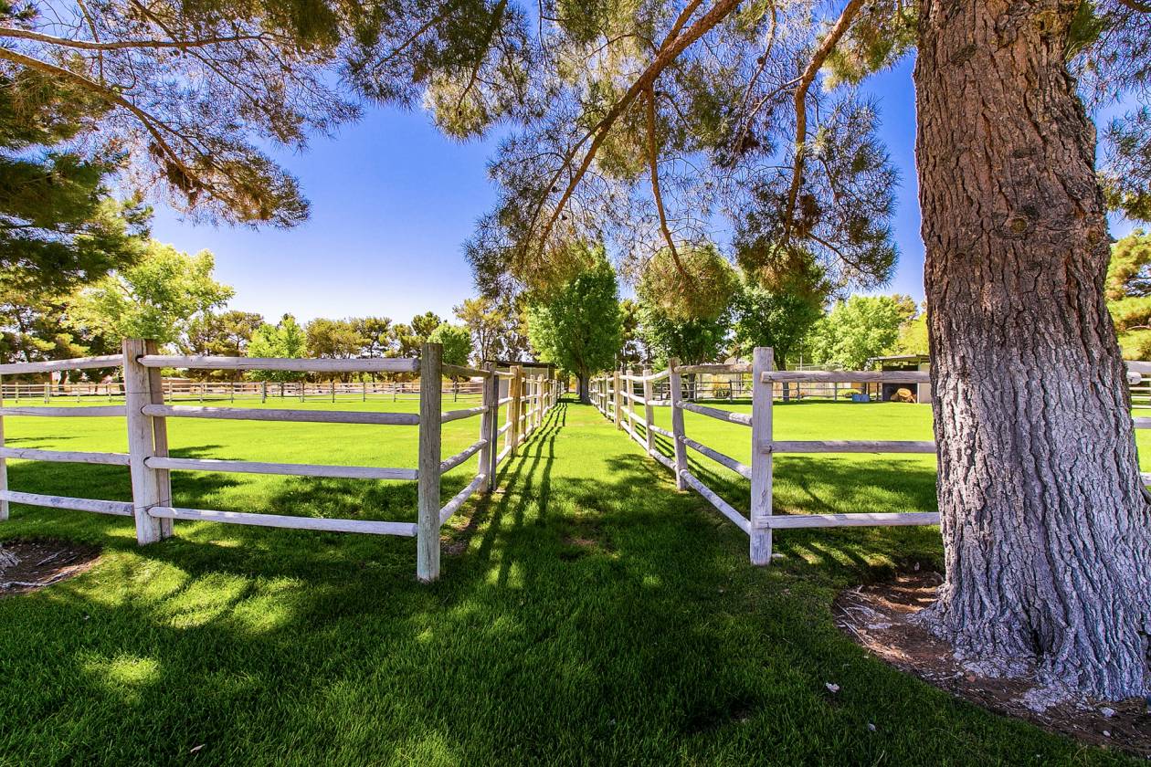 STUNNING EQUESTRIAN ESTATE Las Vegas, Clark County, Nevada JerryMartinhorsehorsepropeies