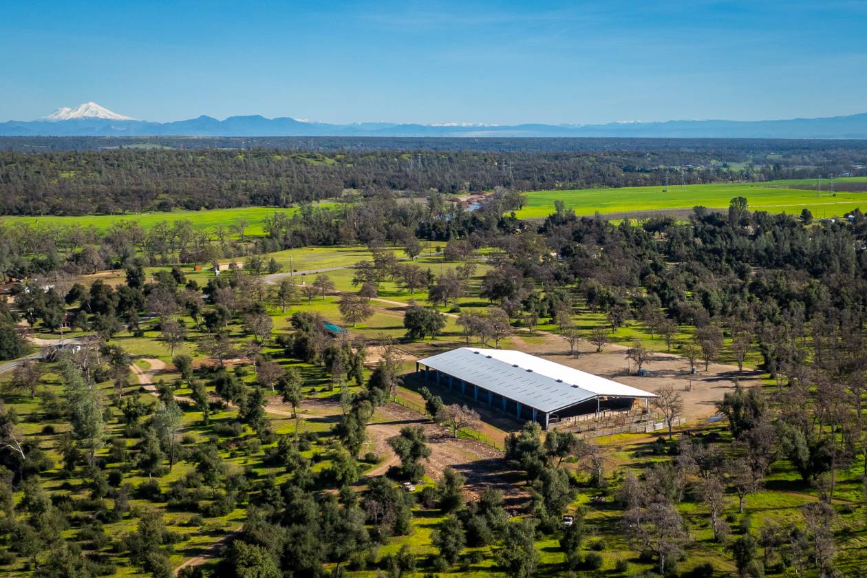 Horse Property for sale.