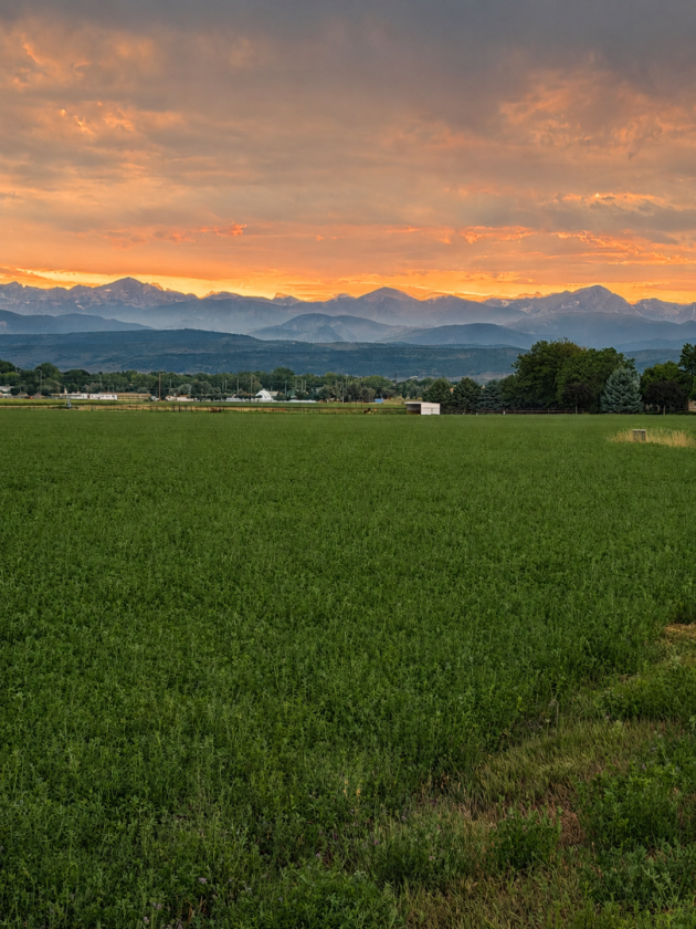 Berthoud Farm - photo 3