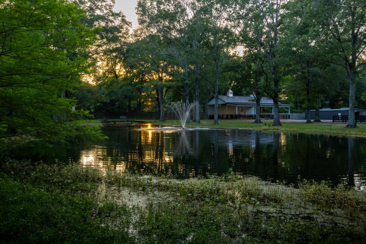 Equestrian Paradise - 5 Acres • Barn • Cross Fenced - photo 27