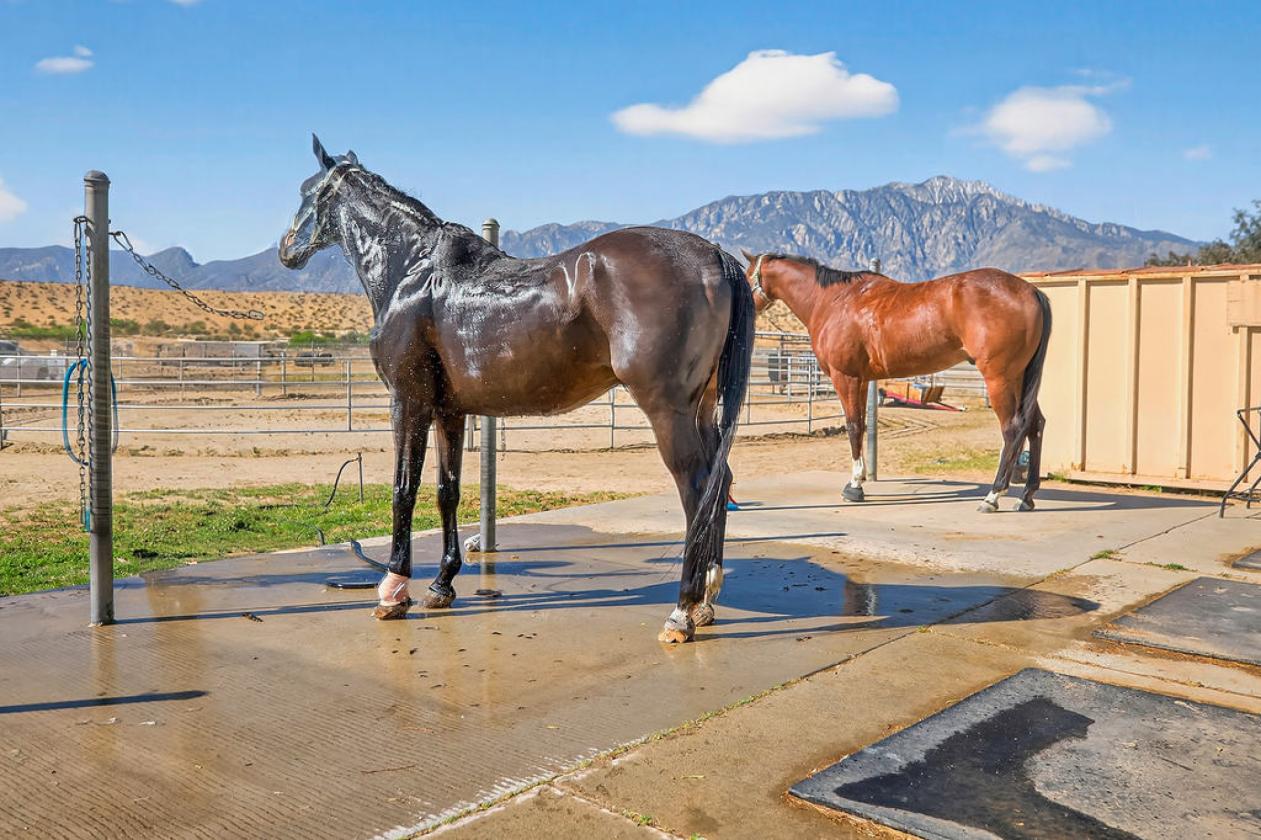 Equestrian Paradise Minutes from Palm Springs - photo 17