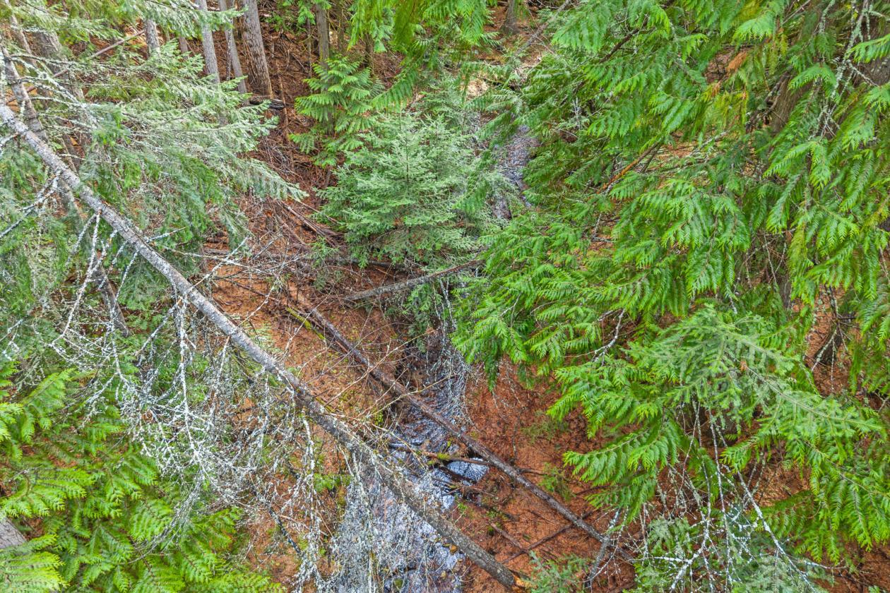 Level 20.65 acres w/Creek, Pasture & Woods - photo 22