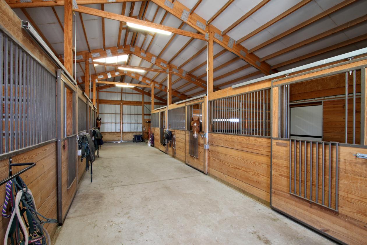 Shining Star Ranch - photo 10
