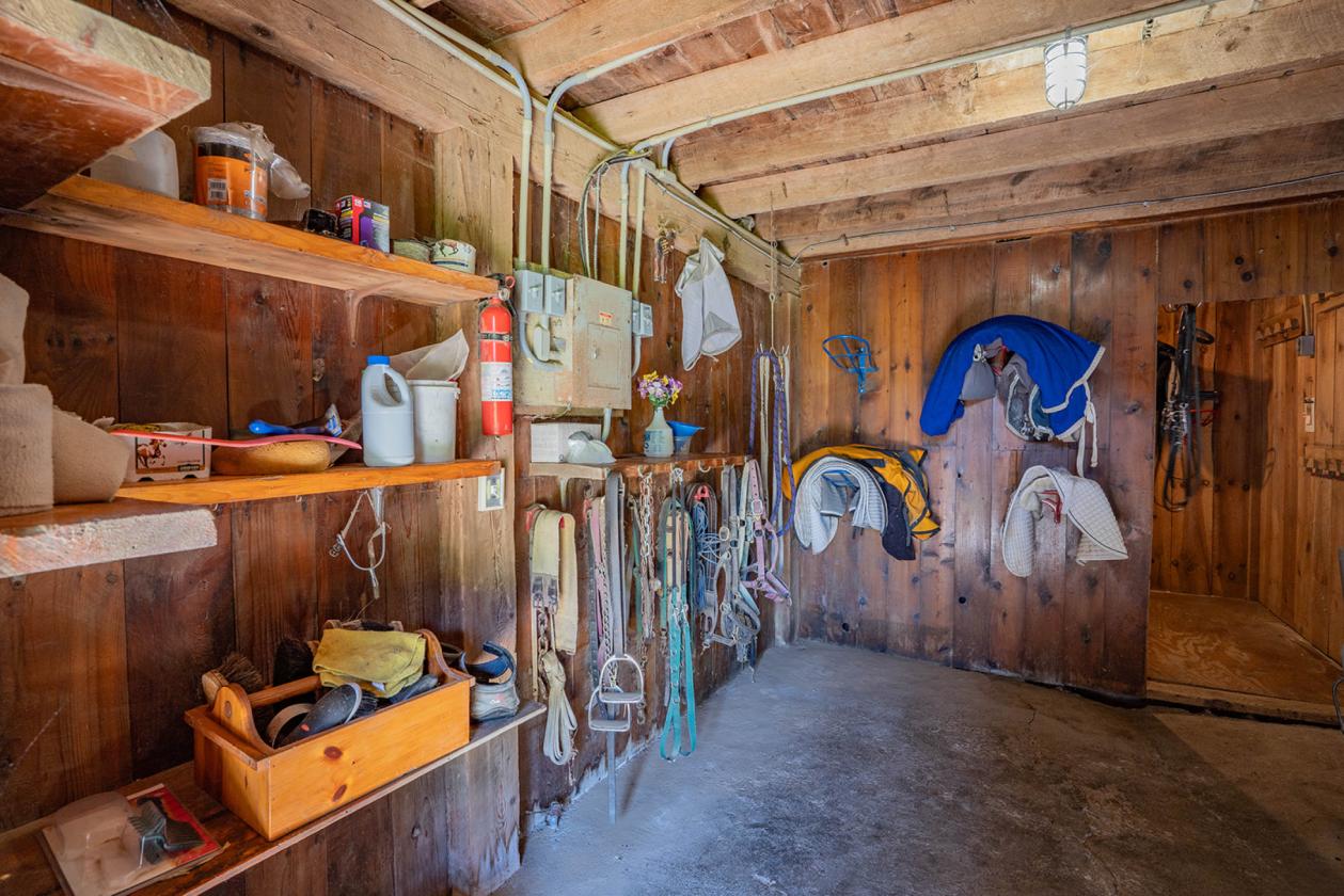 Equine Boarding and Training Facility - photo 9