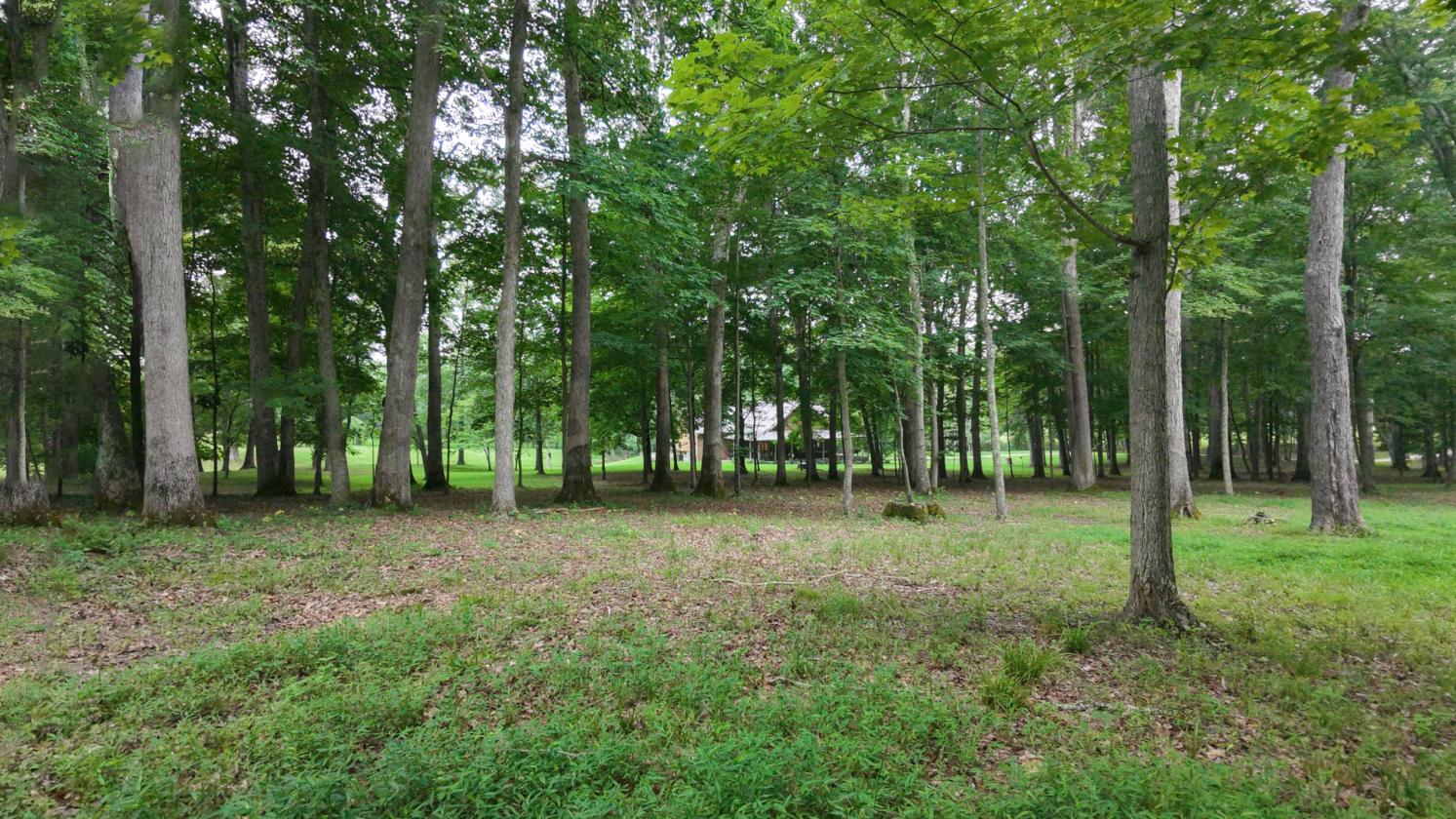 31 LEVEL ACRES w/HOME, BARN, 4 CAR GARAGE - photo 10