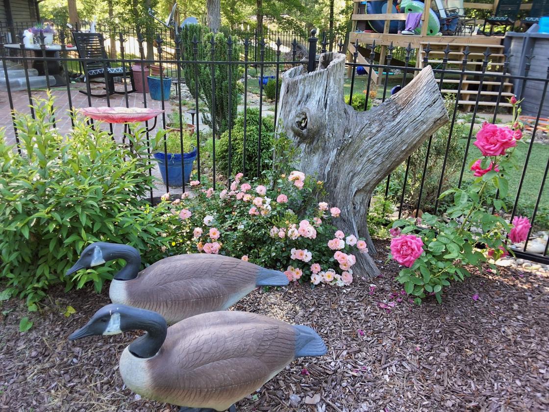 Gentleman's Country Farm - photo 5