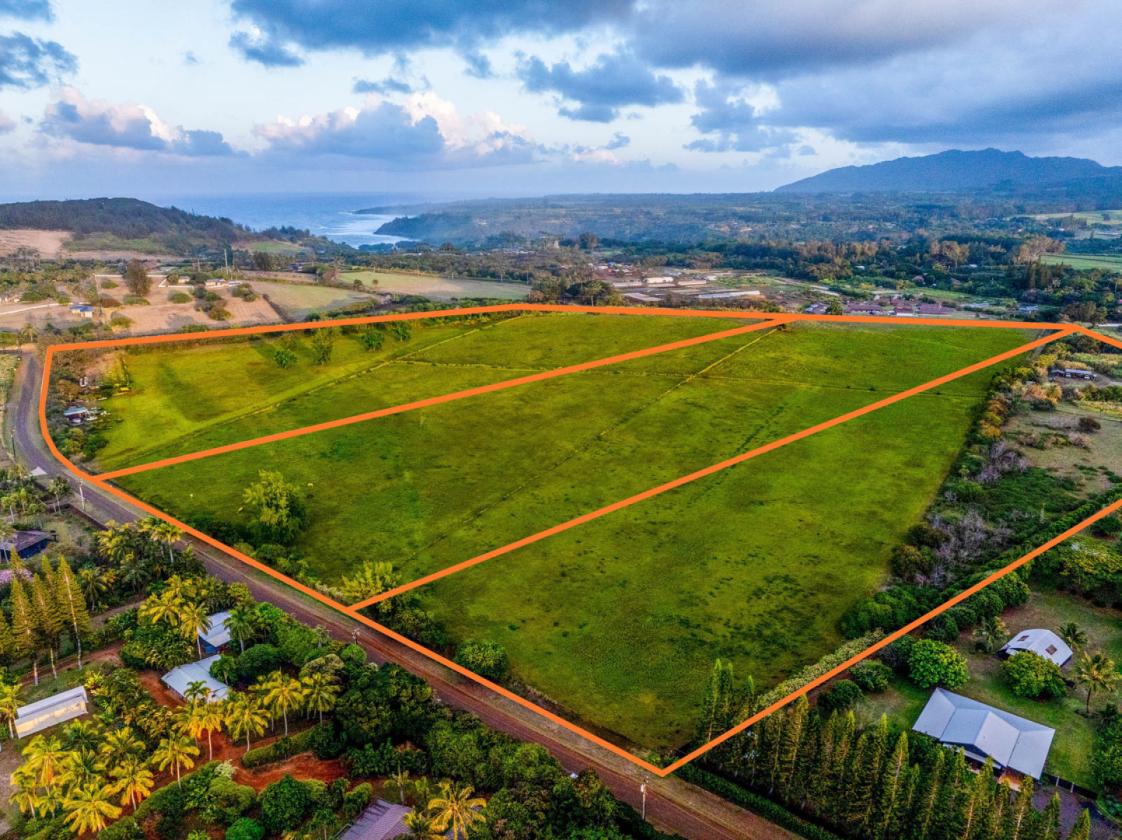 58+ Acres of Prime Land on Kauai's North Shore - photo 8