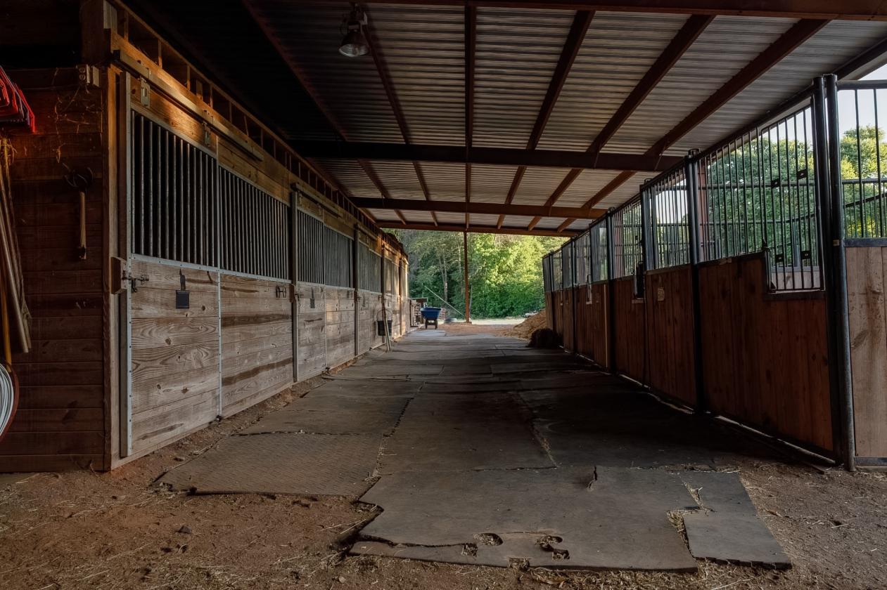 Heated Indoor 67 Acre Horse Training Facility - photo 6