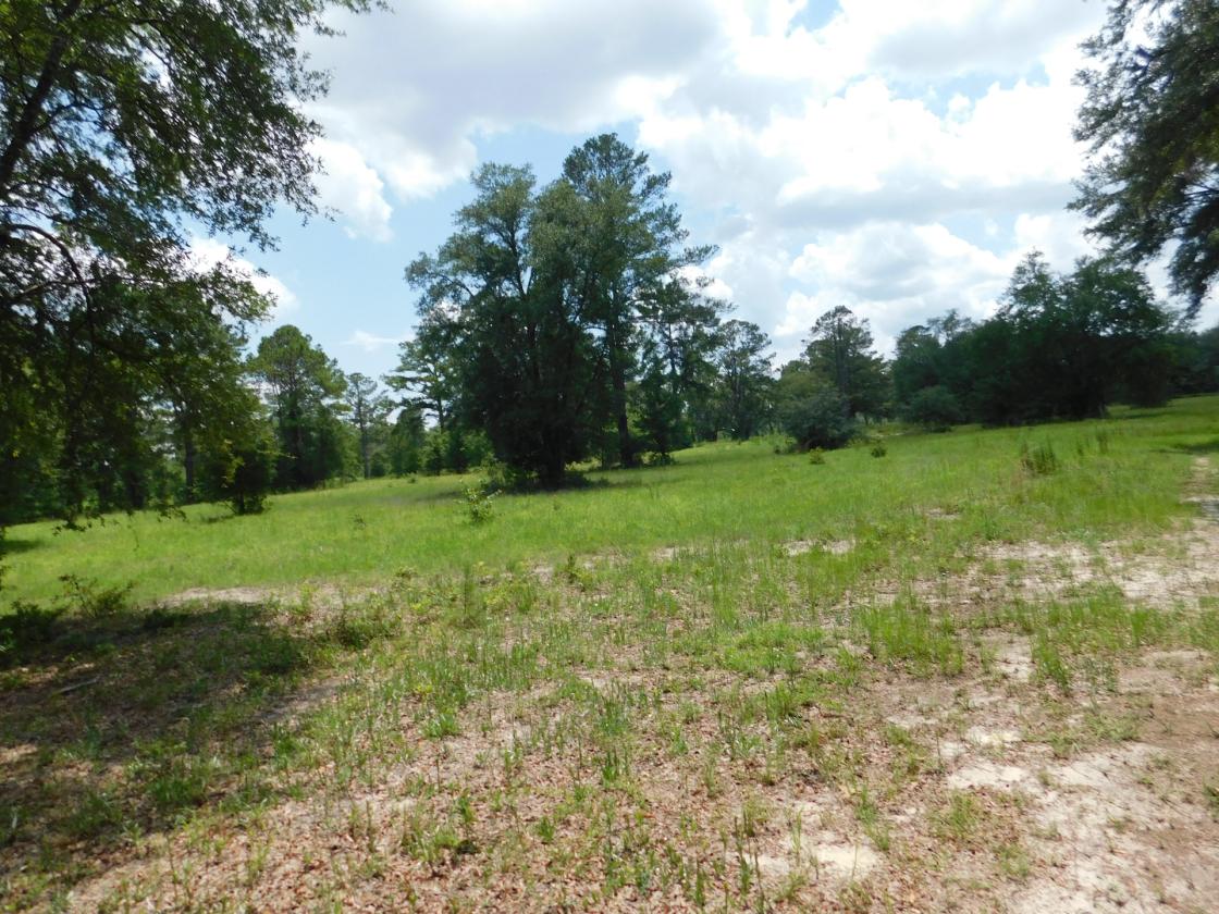 Lowcountry Paradise, waiting for your creativity - photo 8