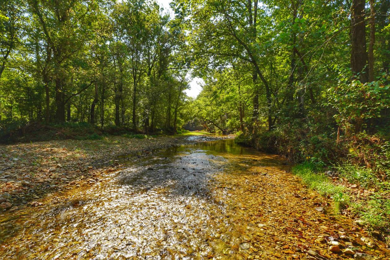 Legacy Northwest Arkansas Acreage - photo 25