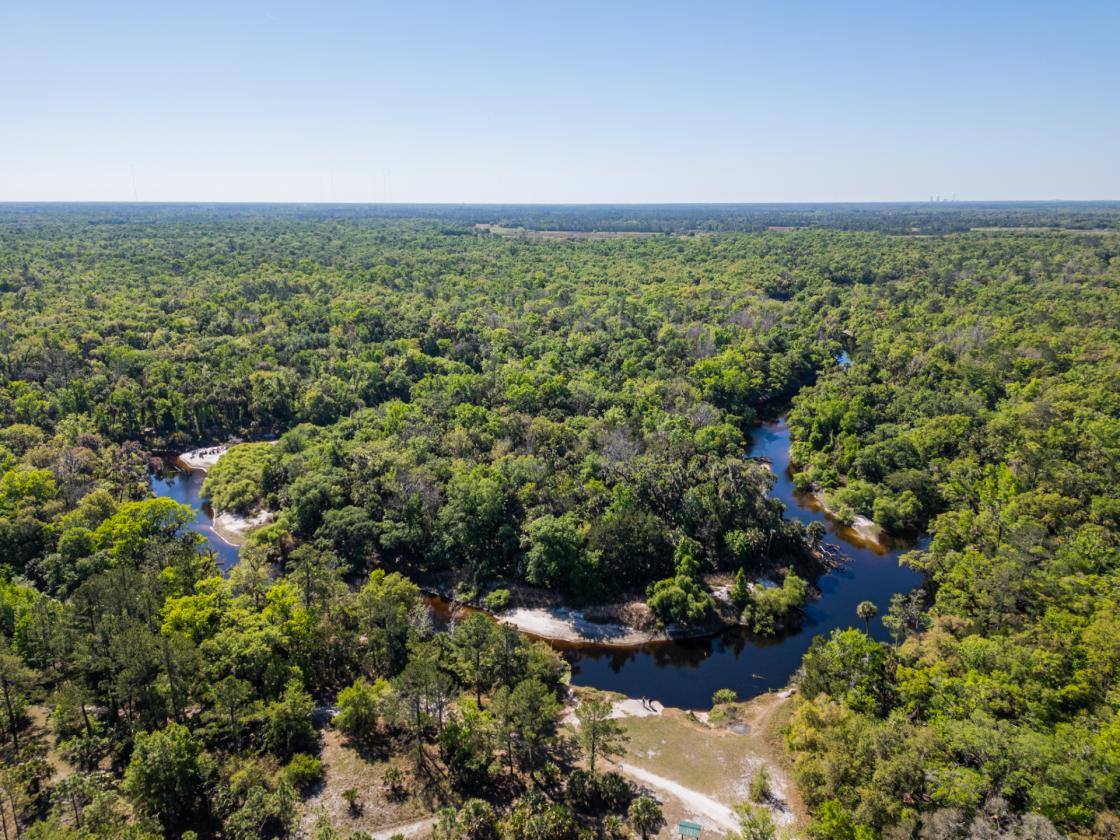 21.75 Acres in Central Florida Horse Country - photo 30