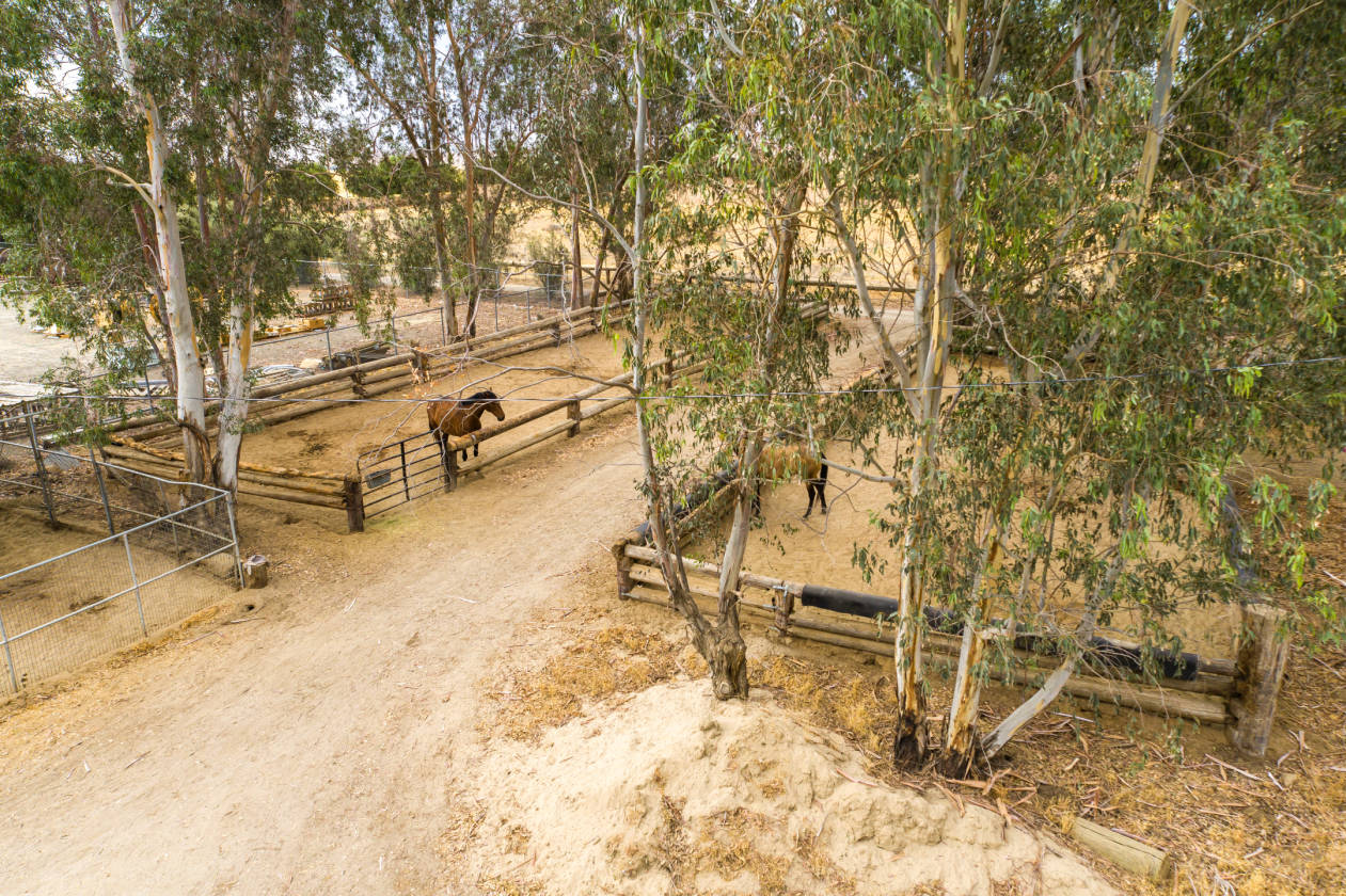 Old California Style Horse Training Ranch Coalinga, Fresno County