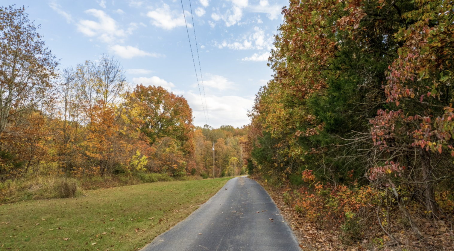 Stunning 313± Acre Double D Ranch - photo 4
