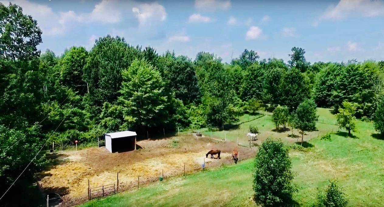 Home/Horse Property with Amazing Views Gaines, Genesee County, Michigan Horse ranch