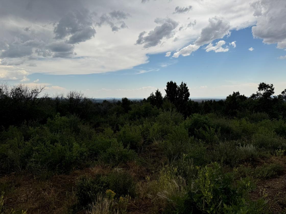 36 Acres of Mountain Land for Your Horses - photo 1
