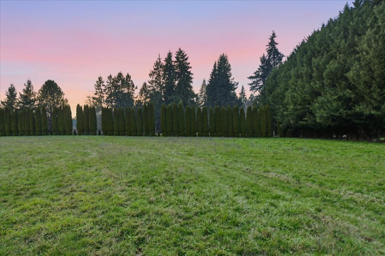 Gated Luxury Equestrian Estate - photo 25