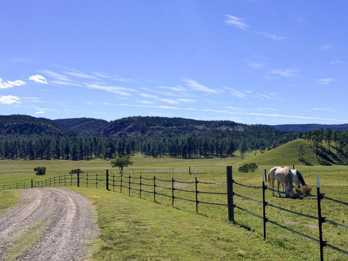 20+ Acre Horse Property w/ Direct Trail Access - photo 27