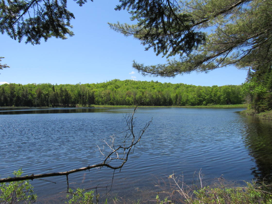 22 ACRE LAKE Eagle Bay, Herkimer County, New York