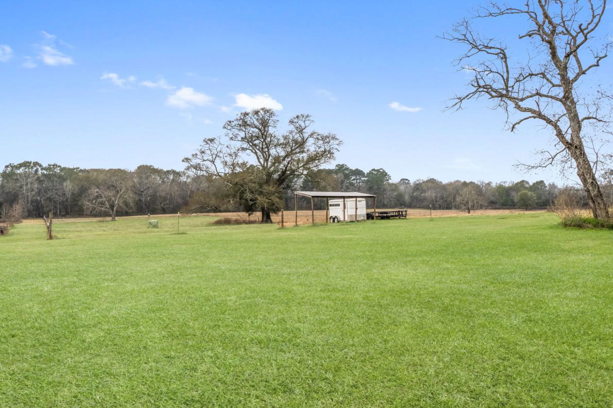 Great Horse Farm or Investment - photo 8