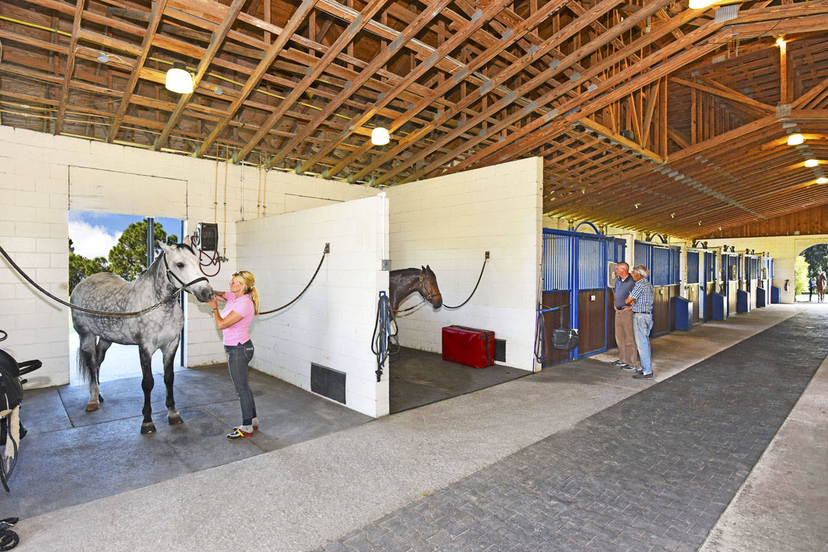 Dressage Barns In Florida. Dressage Barns In Florida About ...