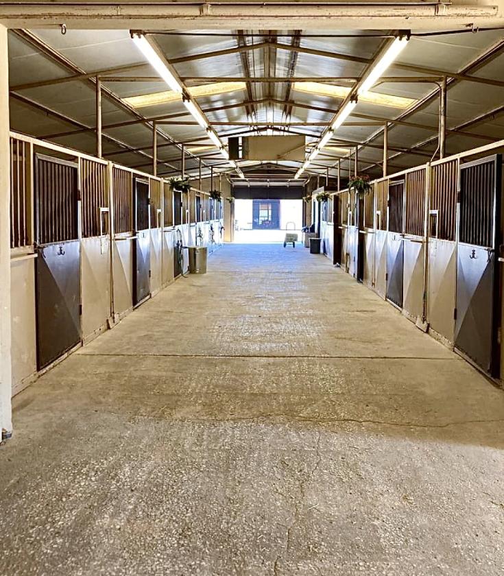 TM Horse Ranch - photo 7