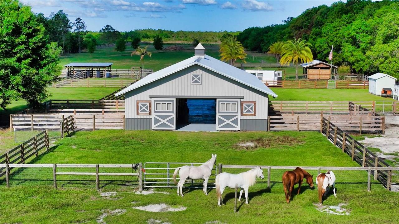 Horse Property for sale.