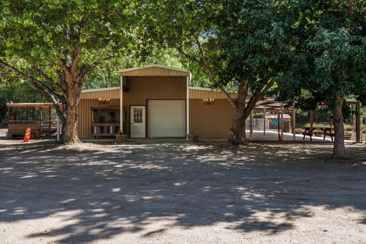 Refined Rural Living with Equestrian Facilities - photo 23