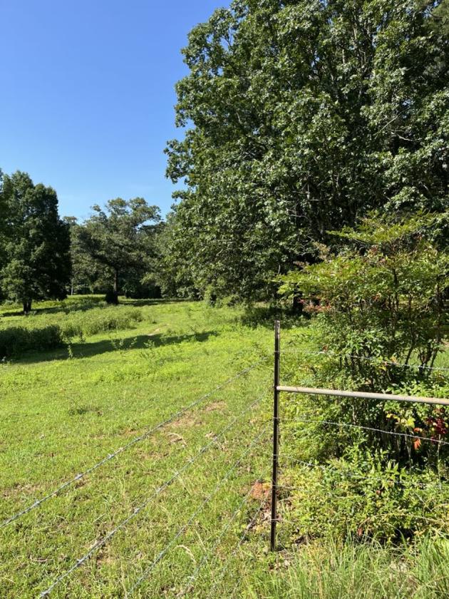 6 ACRES, BRICK RANCH, BARN - photo 10