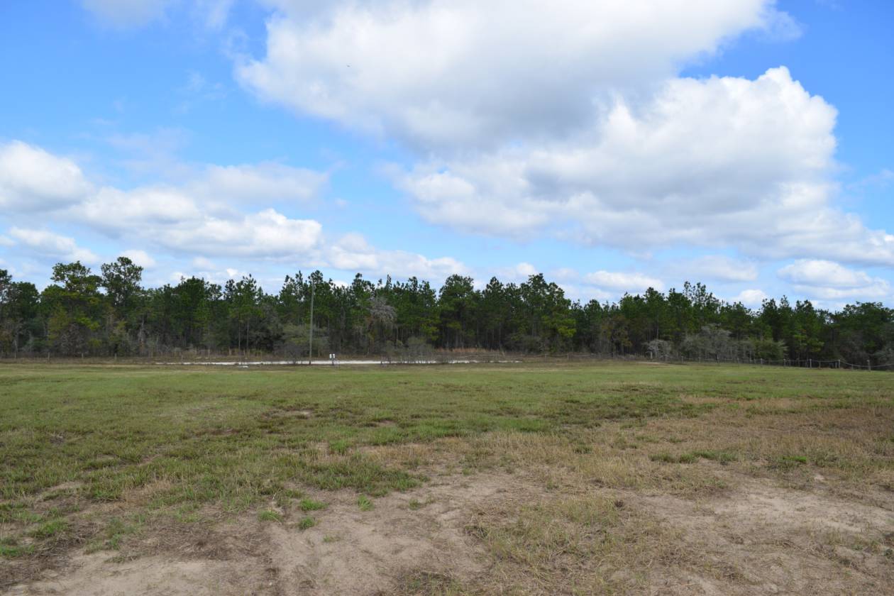 Withlacoochee State Forest Croom Equestrian Trails Right across the